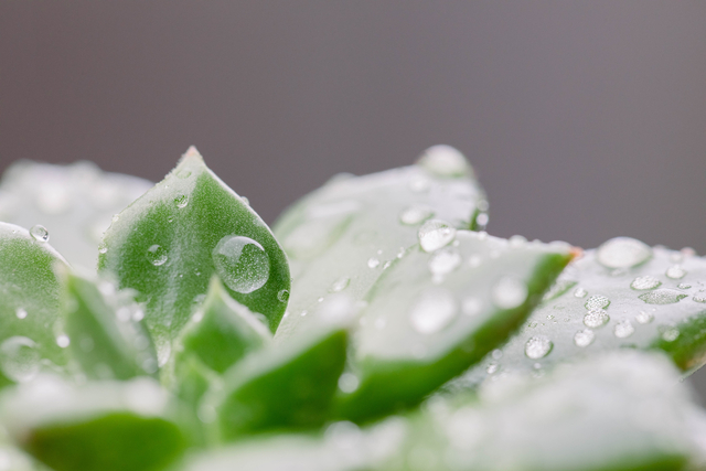paesaggio di Lampedusa