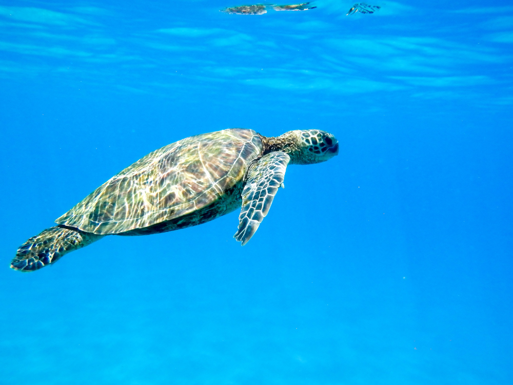Bimbi in viaggio a Lampedusa e consigli pratici 2 bimbi in viaggio cosa fare