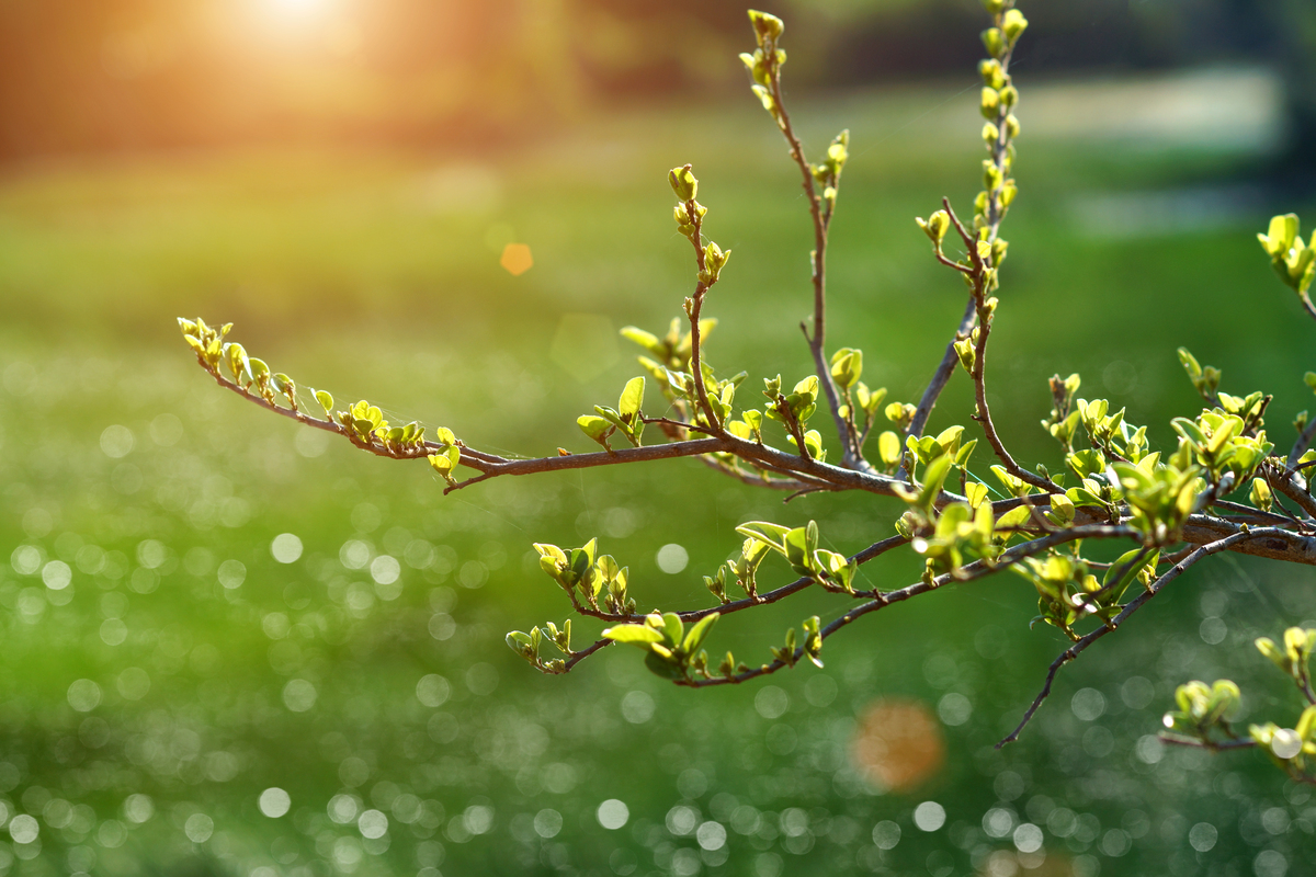 culture del Mediterraneo