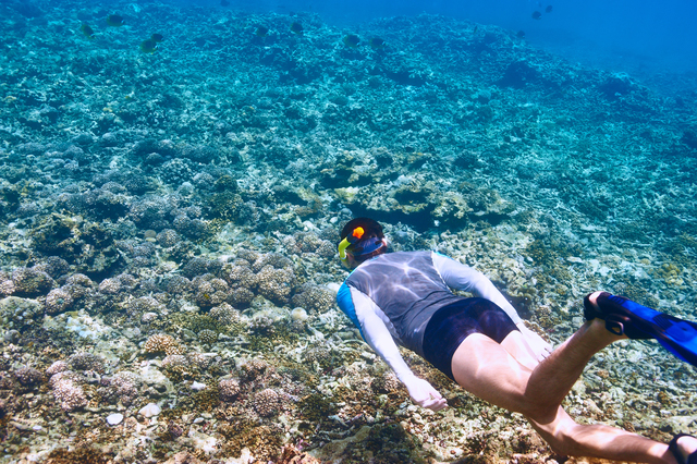 snorkeling nel mare di Lampedusa