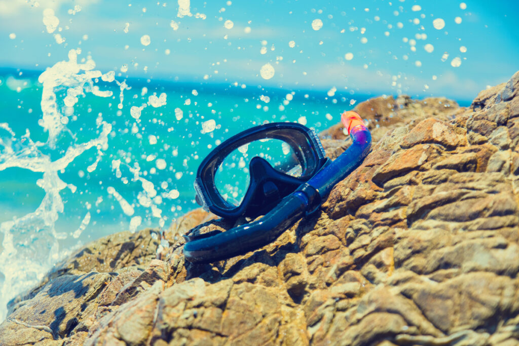 Snorkeling a Lampedusa a maggio: il mare prima dell’estate 14 snorkeling a Lampedusa a Maggio